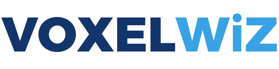 VoxelWiz